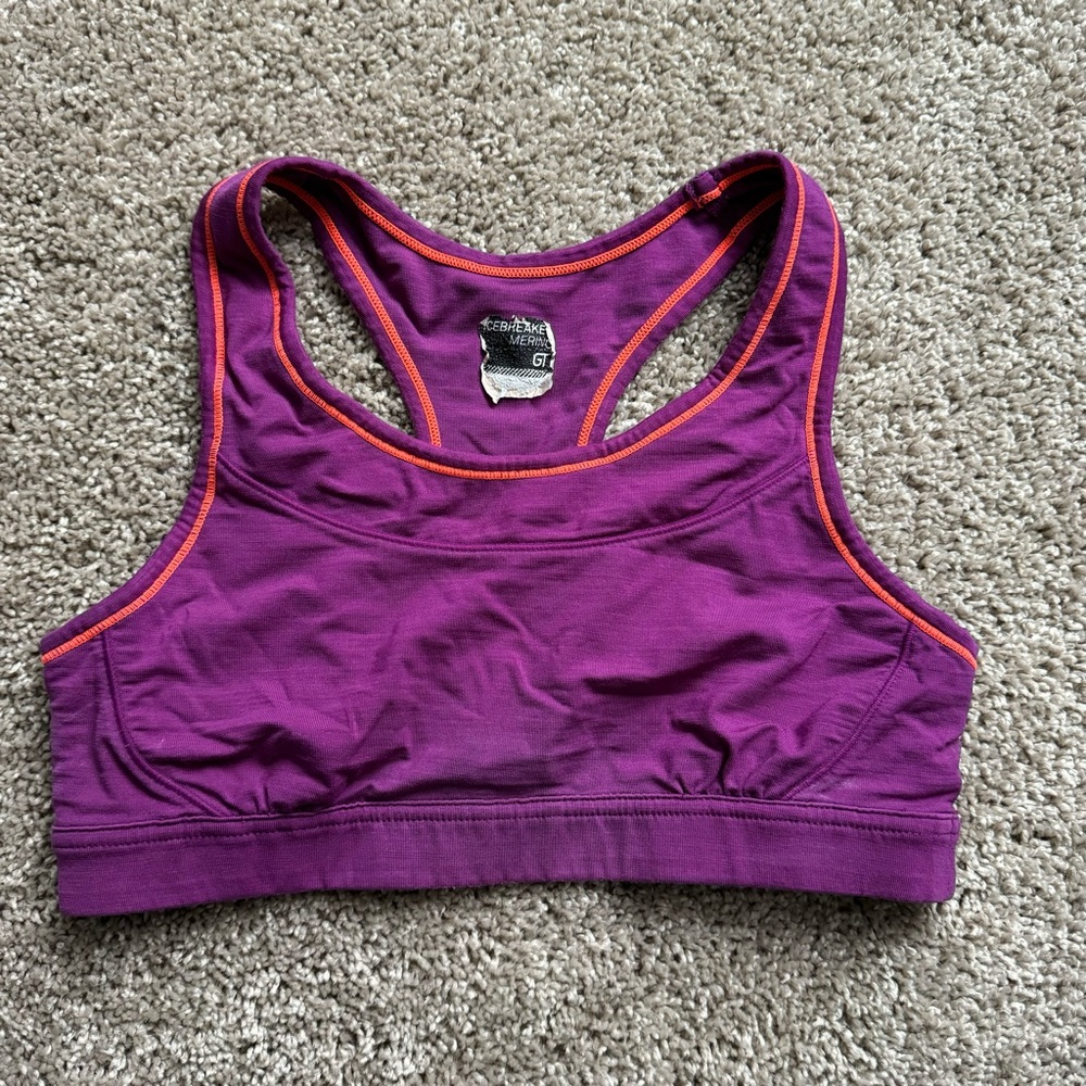 Woman’s Icebreaker sports bra